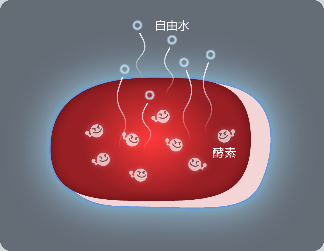 短時間で「うま味」が増えるわけ